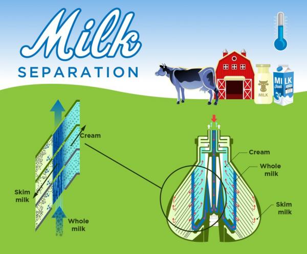 milk separation process