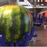 Watermelon 7