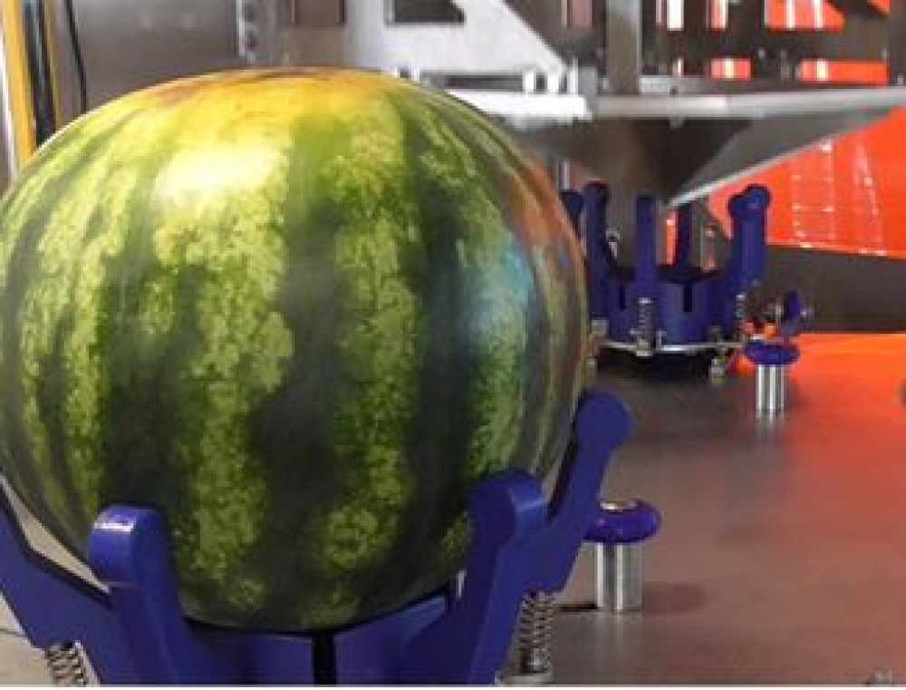 Watermelon 7