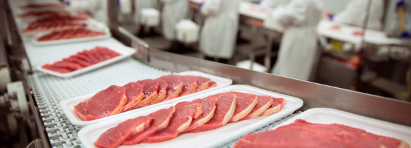 Slices of red meat arranged on a tray travelling along a conveyor